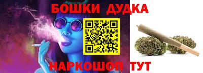 крисы Кунгур